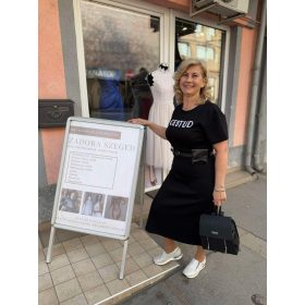 Sasha Dress